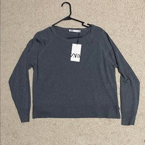 Zara Sparkly Top